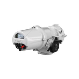 IQM25 F14 B3 Rotork Vietnam