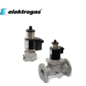VML8-3 DN80 Elektrogas Vietnam