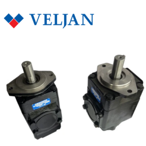 VT6DCM-B45-B31-3L-00-B100 Veljan Hydraulic Vietnam