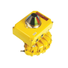 103-700EL1000 Kinetrol Vietnam 